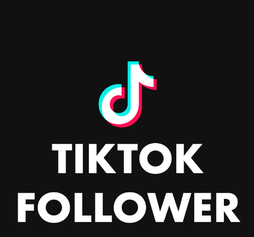 TikTok follower